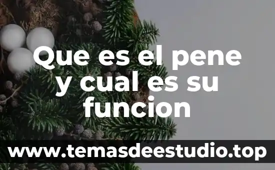 Que es diferenciacion y cual es su concepto 7 Que es el pene y cual es su funcion