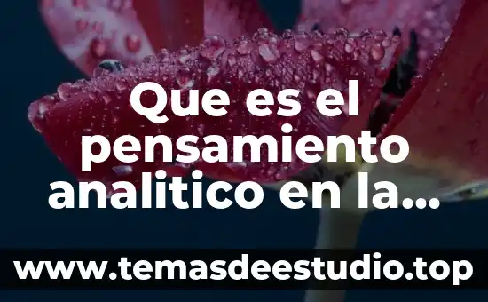 Que es el pensamiento analitico en la educación