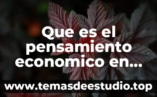 Que es el pensamiento economico en economia