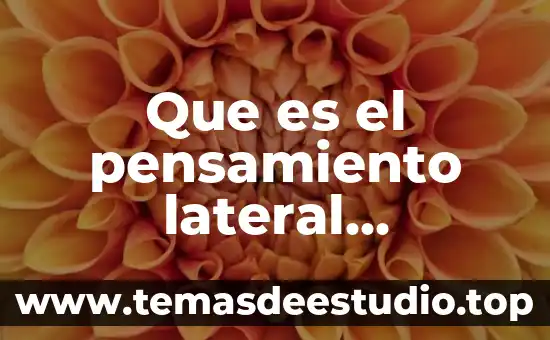 Qué es un campo para informática 8 Que es el pensamiento lateral informatica