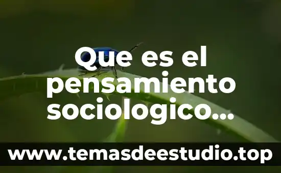 Que es la ciencia concepto en diccionario sociologico 7 Que es el pensamiento sociologico yahoo