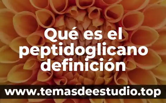 Que es ser impio 5 Qué es el peptidoglicano definición