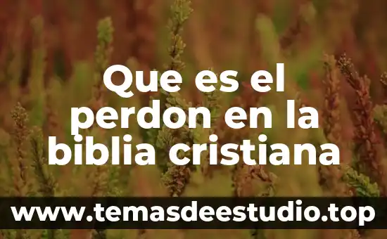 De un concepto de lo que es el perdón 6 Que es el perdon en la biblia cristiana