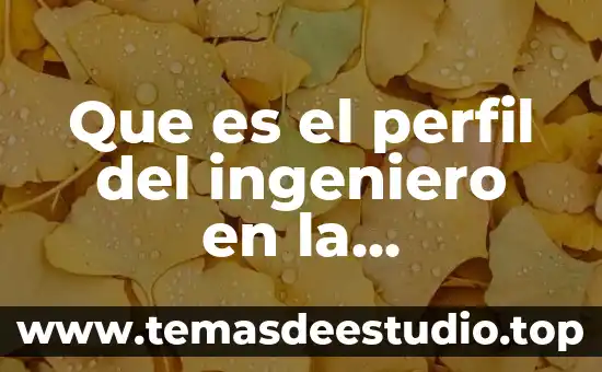 Qué es ser ingeniero biomédico 5 Que es el perfil del ingeniero en la administracion