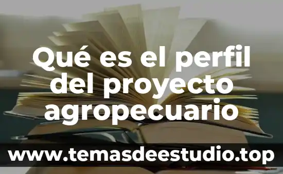Que es perfil latino internacional 8 Qué es el perfil del proyecto agropecuario