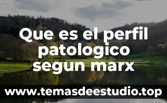 Que es el perfil patologico segun marx
