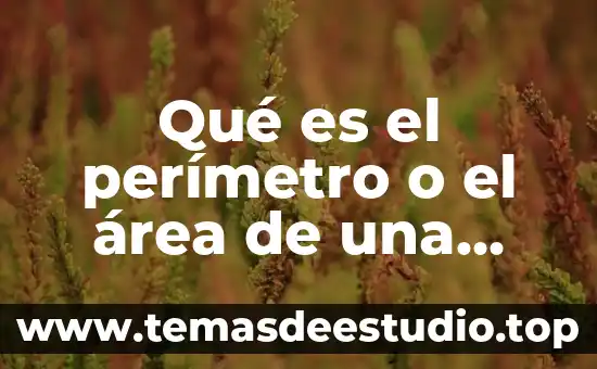 Que es el sistema de contabilidad de aspel 4 Qué es el perímetro o el área de una figura