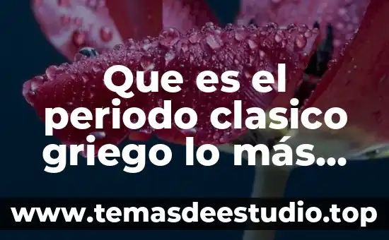 Que es un campo combinado 8 Que es el periodo clasico griego lo mĂĄs importante