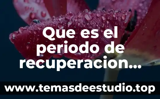Que es netiqueta en prepa en linea 8 Que es el periodo de recuperacion prepa en linea sep