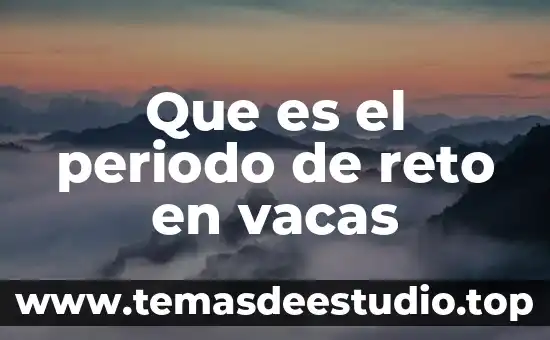 Que es ser chef 4 Que es el periodo de reto en vacas