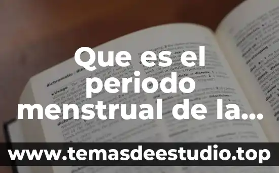 Que es el periodo menstrual de la mujer
