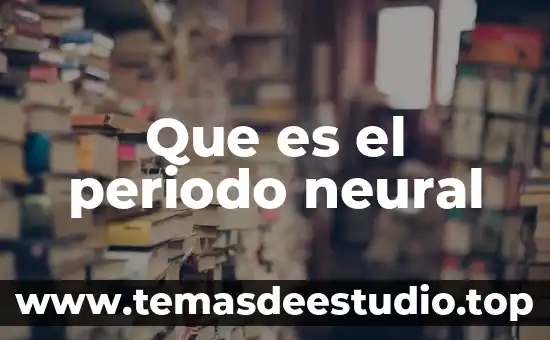 Que es la lirica renacentista periodo 6 Que es el periodo neural