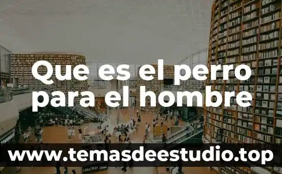 Qué es el hombre en la filosofía 7 Que es el perro para el hombre