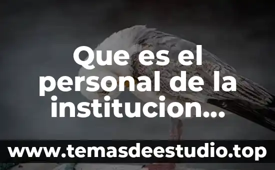 Qué es la cultura organizacional de una institución educativa 3 Que es el personal de la institucion educativa
