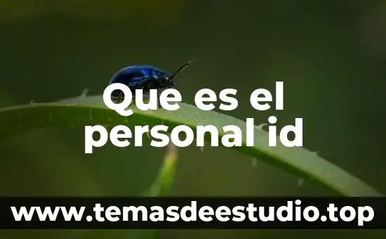 Qué es el ID significado de la siglas 5 Que es el personal id