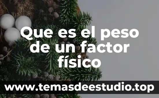 Que es una rehabilitador fisico 8 Que es el peso de un factor físico