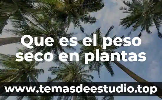 Que es calor seco 6 Que es el peso seco en plantas