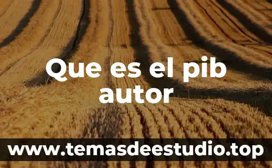 Que es homonimo con autor 5 Que es el pib autor
