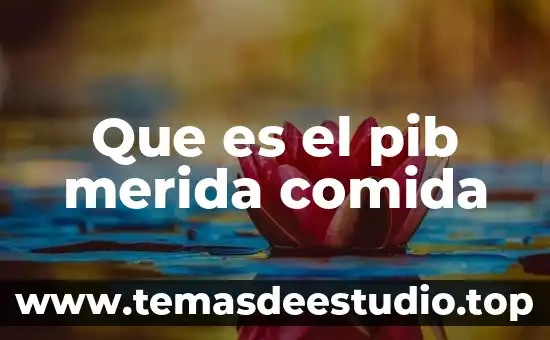 Que es comida mediterranea significa 7 Que es el pib merida comida