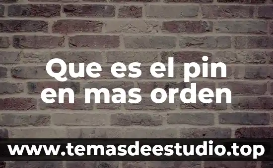 Problemas de orden filosófico en teoría del estado 5 Que es el pin en mas orden