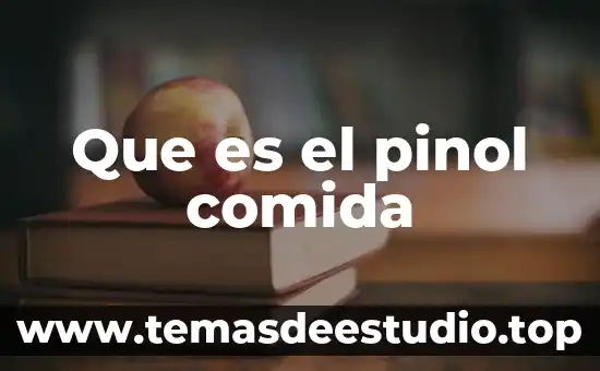 Qué es sol comida 6 Que es el pinol comida