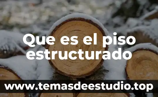 Diseñador de cableado estructurado que es 7 Que es el piso estructurado