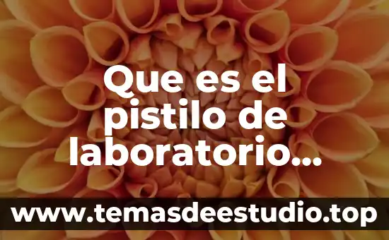 Qué es un instrumento de laboratorio concepto 7 Que es el pistilo de laboratorio material