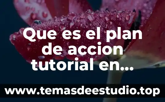 Que es el plan de accion tutorial en educacion