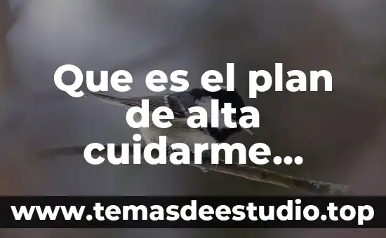Que es el cianosis enfermeria 3 Que es el plan de alta cuidarme enfermeria