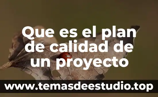 Que es el plan de calidad de un proyecto