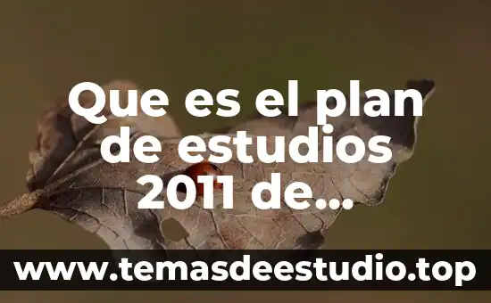 Abp que es articulo 2011 4 Que es el plan de estudios 2011 de educacion basica
