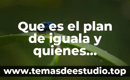 Que es la opep y quienes la la integran 6 Que es el plan de iguala y quienes participaron