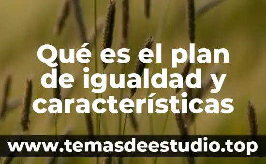 Que es igualdad y justicia en filosofia 8 Qué es el plan de igualdad y características