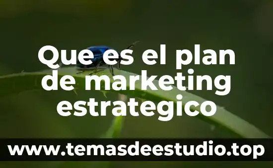 Que es el plan de marketing estrategico