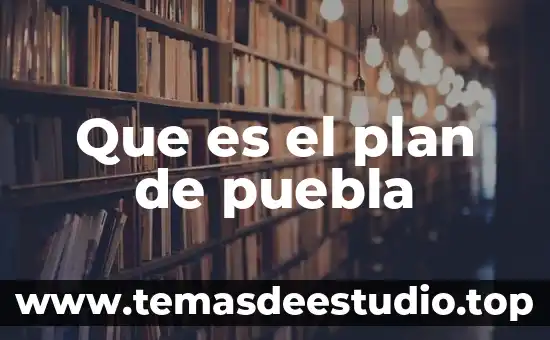 Que es el plan de puebla