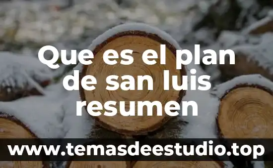 De que es la empresa magna planta san luis 3 Que es el plan de san luis resumen