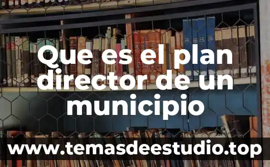 Por que es importante tener habilidades para ser director 4 Que es el plan director de un municipio