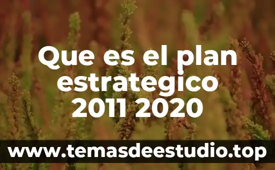 Abp que es articulo 2011 5 Que es el plan estrategico 2011 2020