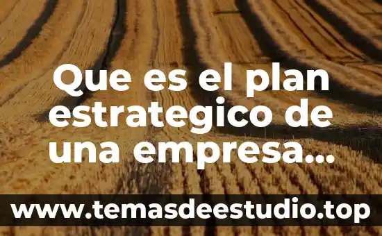 Que es el plan estrategico de una empresa libros