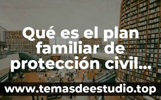 Qué es una sociedad civil Susana Dávalos 3 Qué es el plan familiar de protección civil brainly