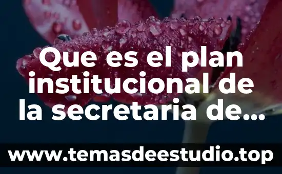 Qué es cultura y educación financiera 4 Que es el plan institucional de la secretaria de educación