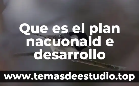 Que es el plan nacuonald e desarrollo