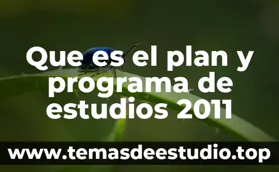 Abp que es articulo 2011 3 Que es el plan y programa de estudios 2011