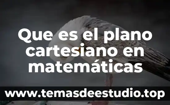 Que es el plano cartesiano en matemáticas