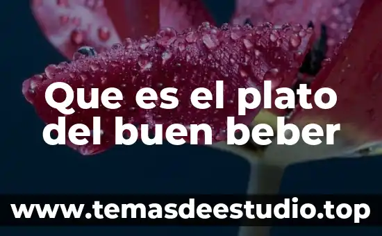 Por que es imortante el plato del bien comer 6 Que es el plato del buen beber