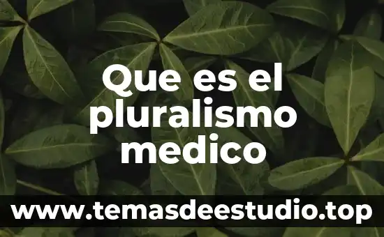 Que es un medico auditor de la art 8 Que es el pluralismo medico