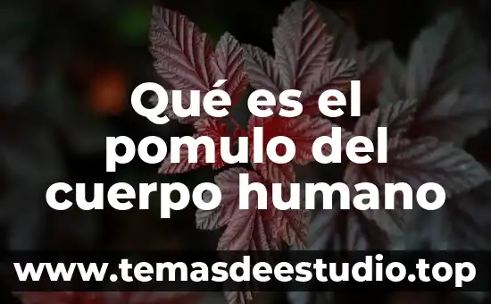 Que es mejor color chocolate o cafe cocinetas 7 Qué es el pomulo del cuerpo humano