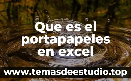 Que es el portapapeles en excel