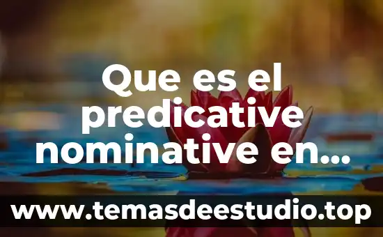 Que es el sol en ingles 7 Que es el predicative nominative en ingles
