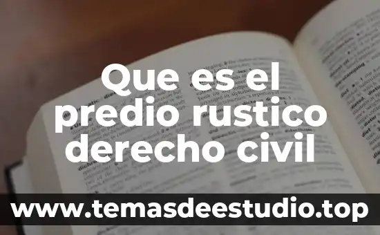 Código civil cdmx que es 4 Que es el predio rustico derecho civil